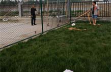 亞強體育施工案例:球場圍網YQ-0014,